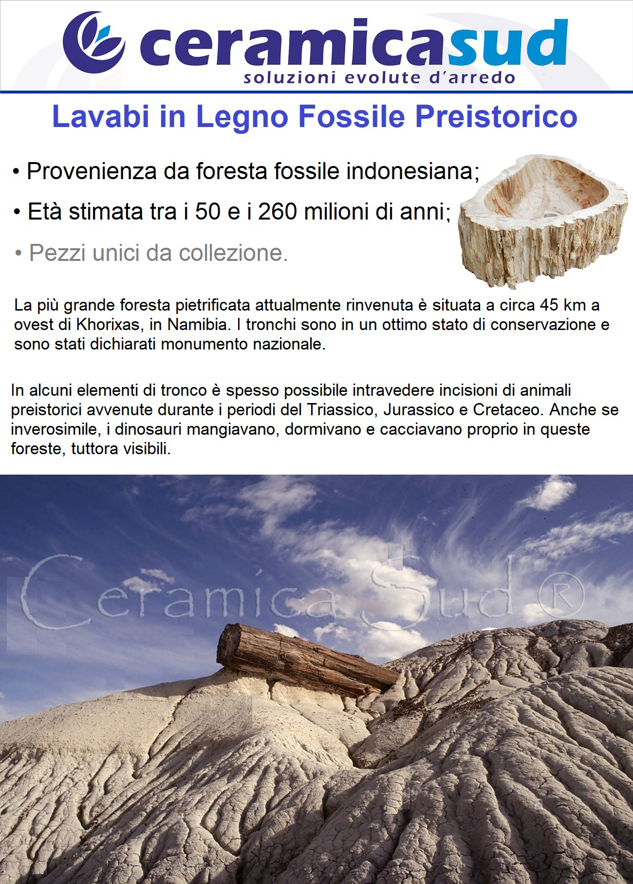 Features_lavabi_in_fossile_stone