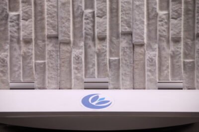 Rivestimento da esterno effetto quarzite bianca neve resistente al gelo 42 x 16 cm. - immagine 9